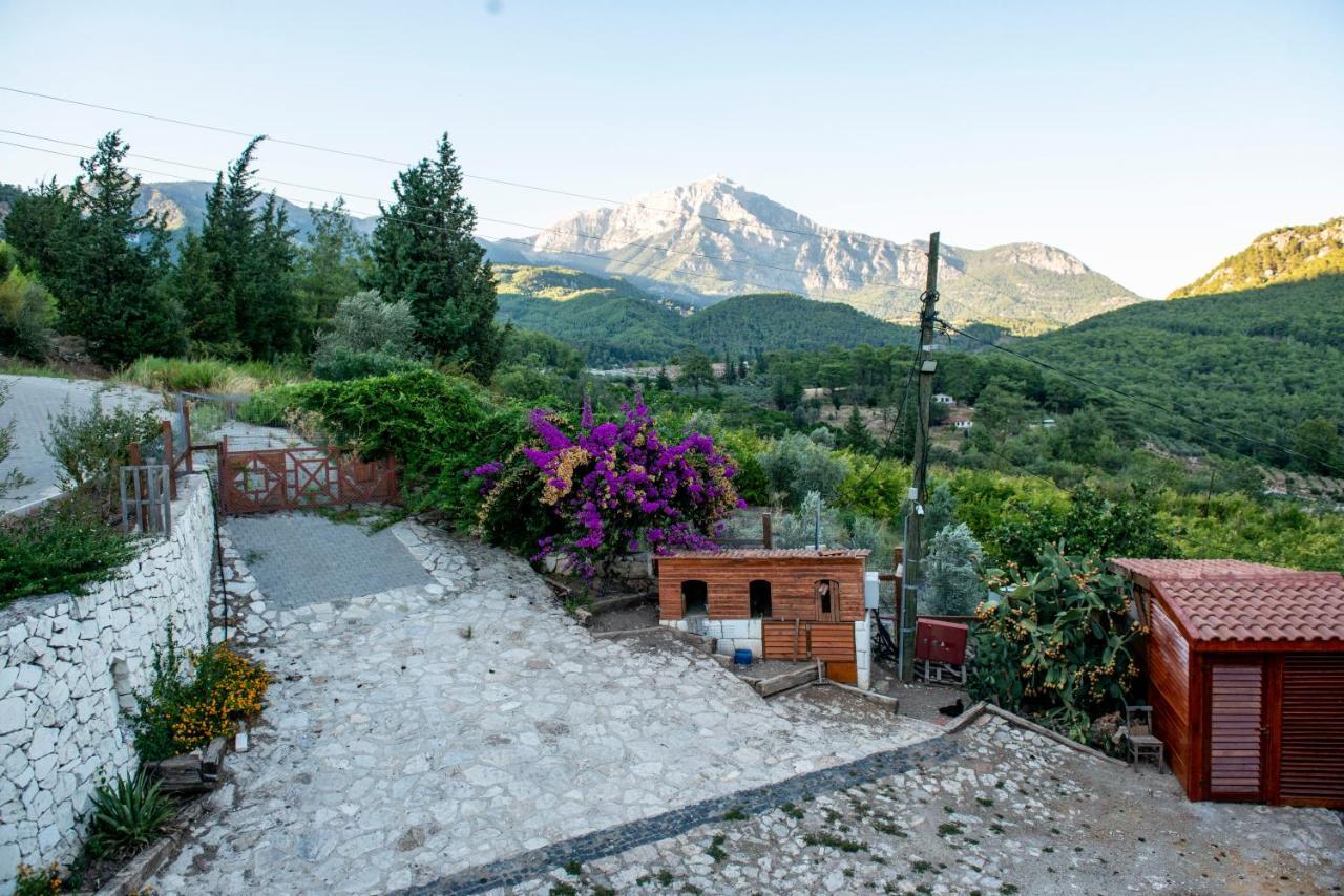 Trinitys Forest Bungalows Kemer Exterior foto