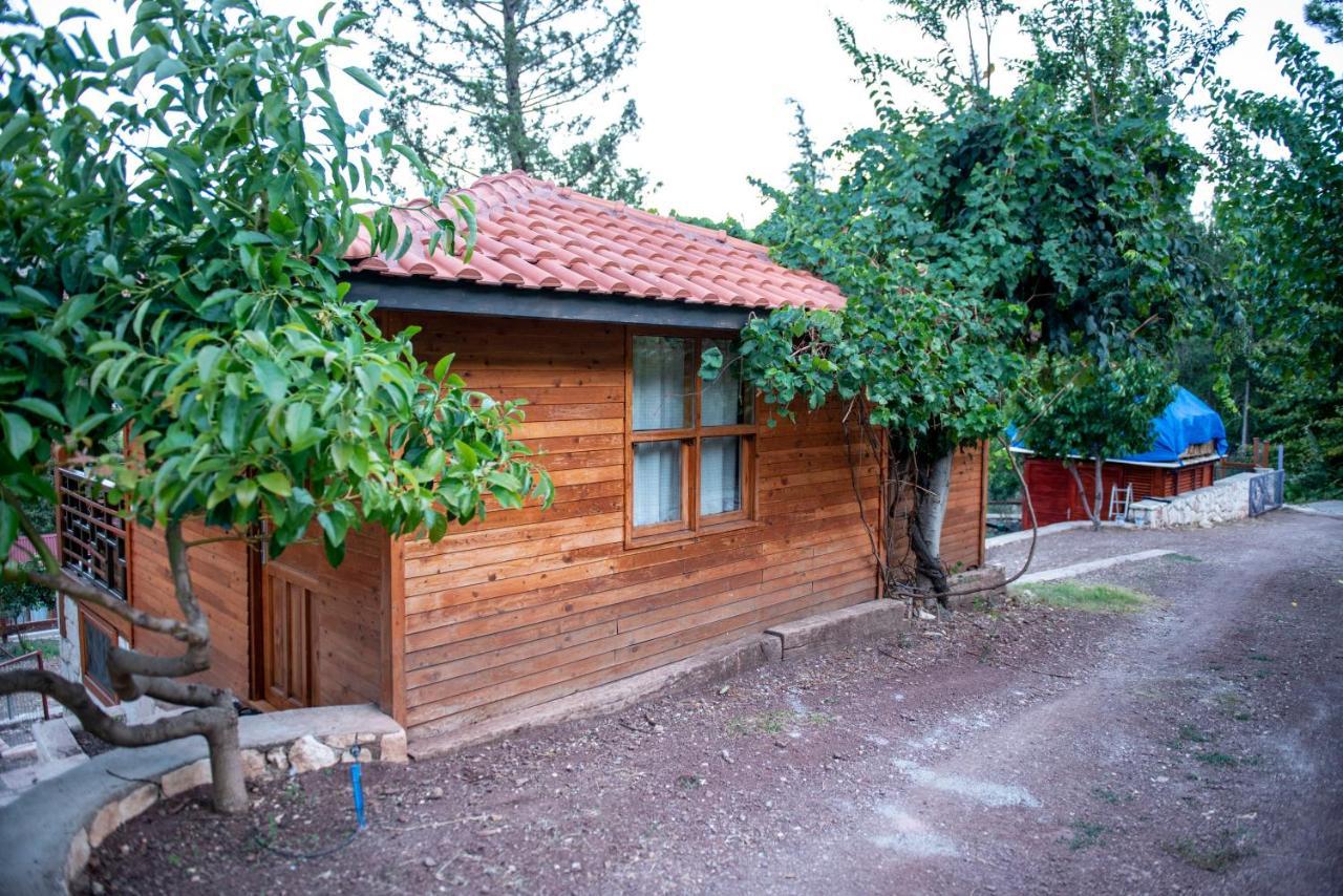 Trinitys Forest Bungalows Kemer Exterior foto